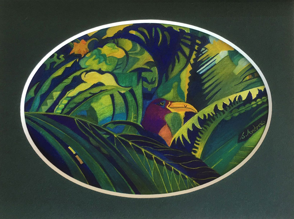sue andrew