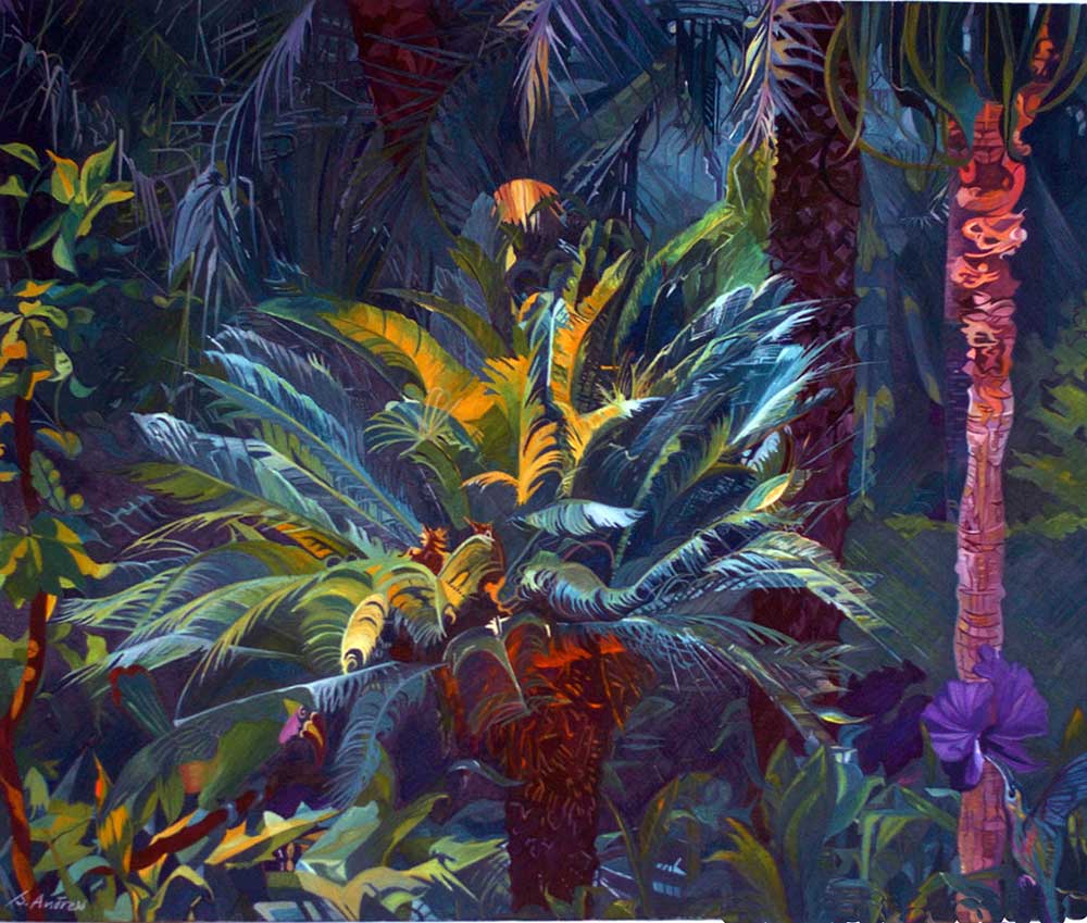 sue andrew