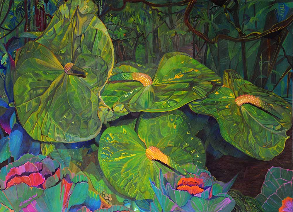 sue andrew