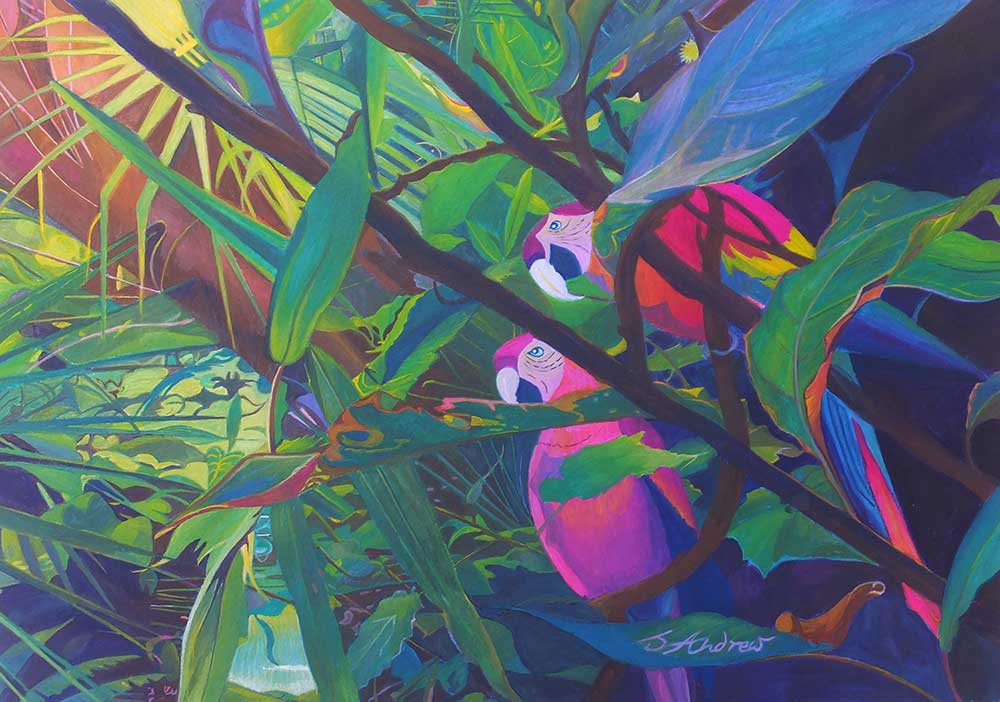 sue andrew